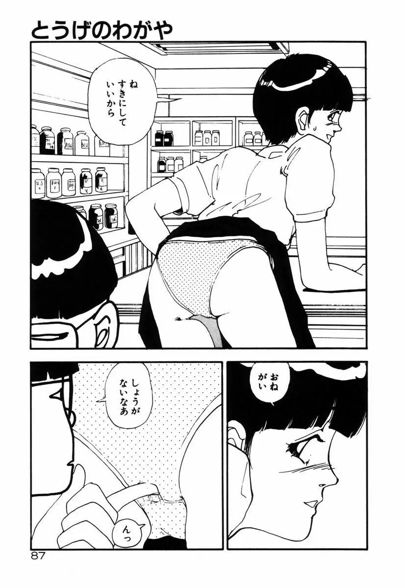 お姫さまといろいろ Page.89