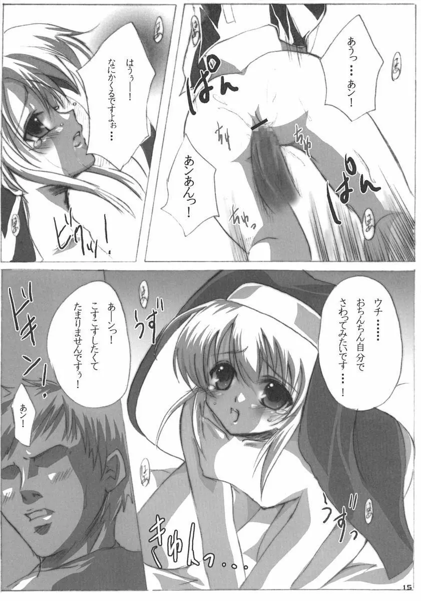 ブリメシ2 Page.14