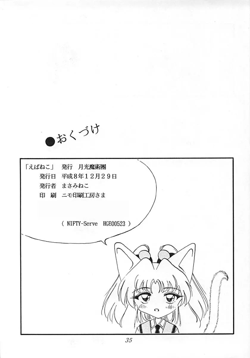 えばねこ Page.34