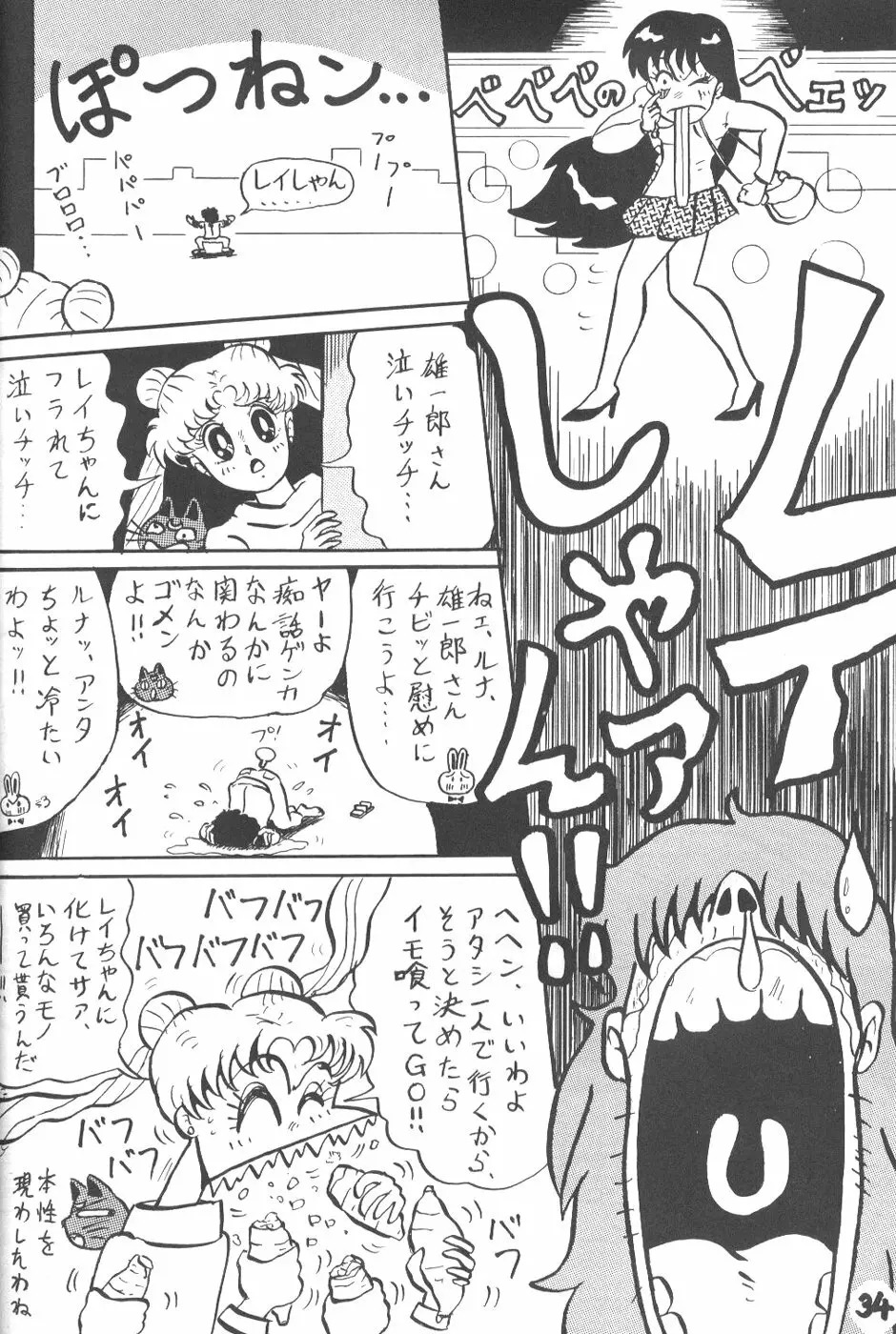 lip 5 Page.33