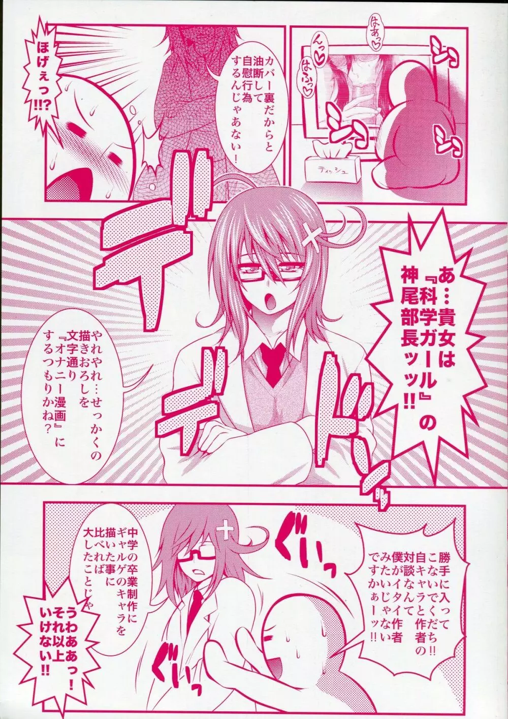 パイフェラレディ Page.3