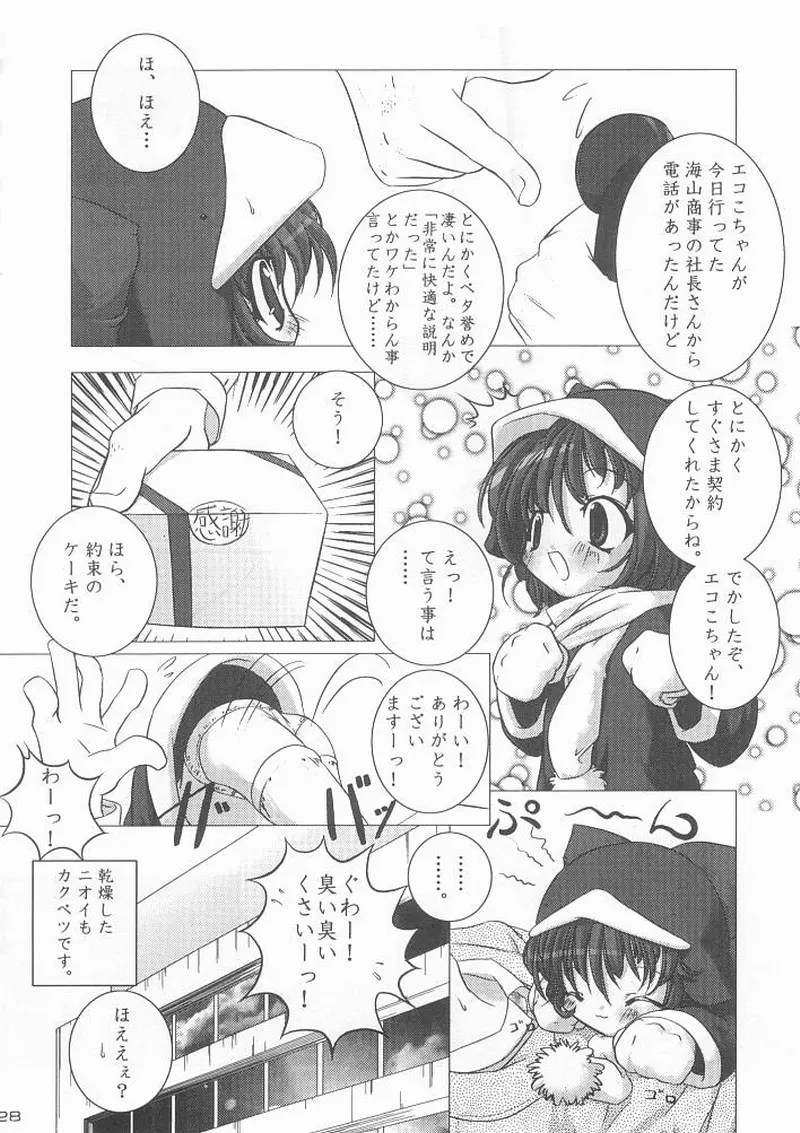 エコスプラッシュ Page.27