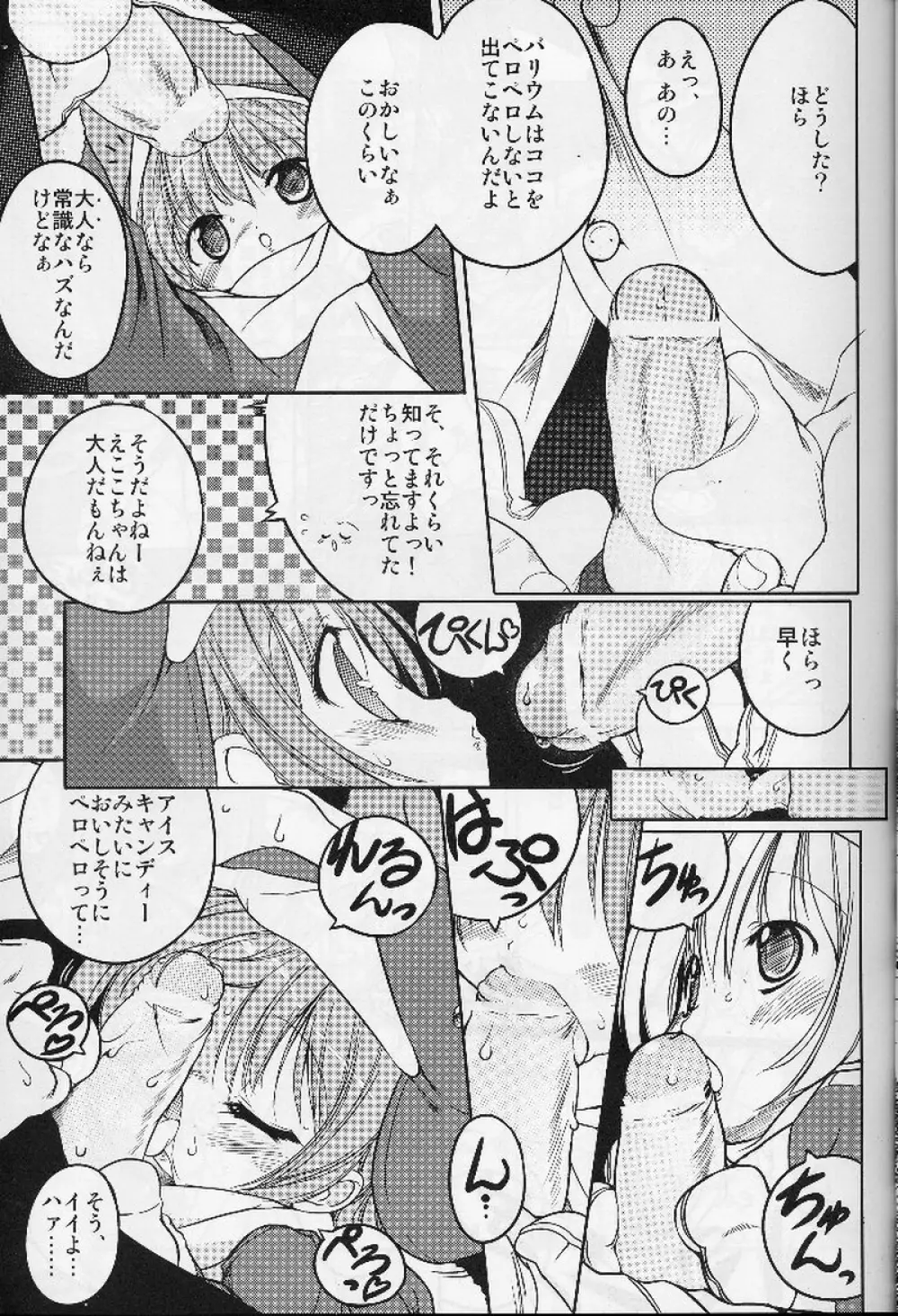 エコスプラッシュ4 Page.12