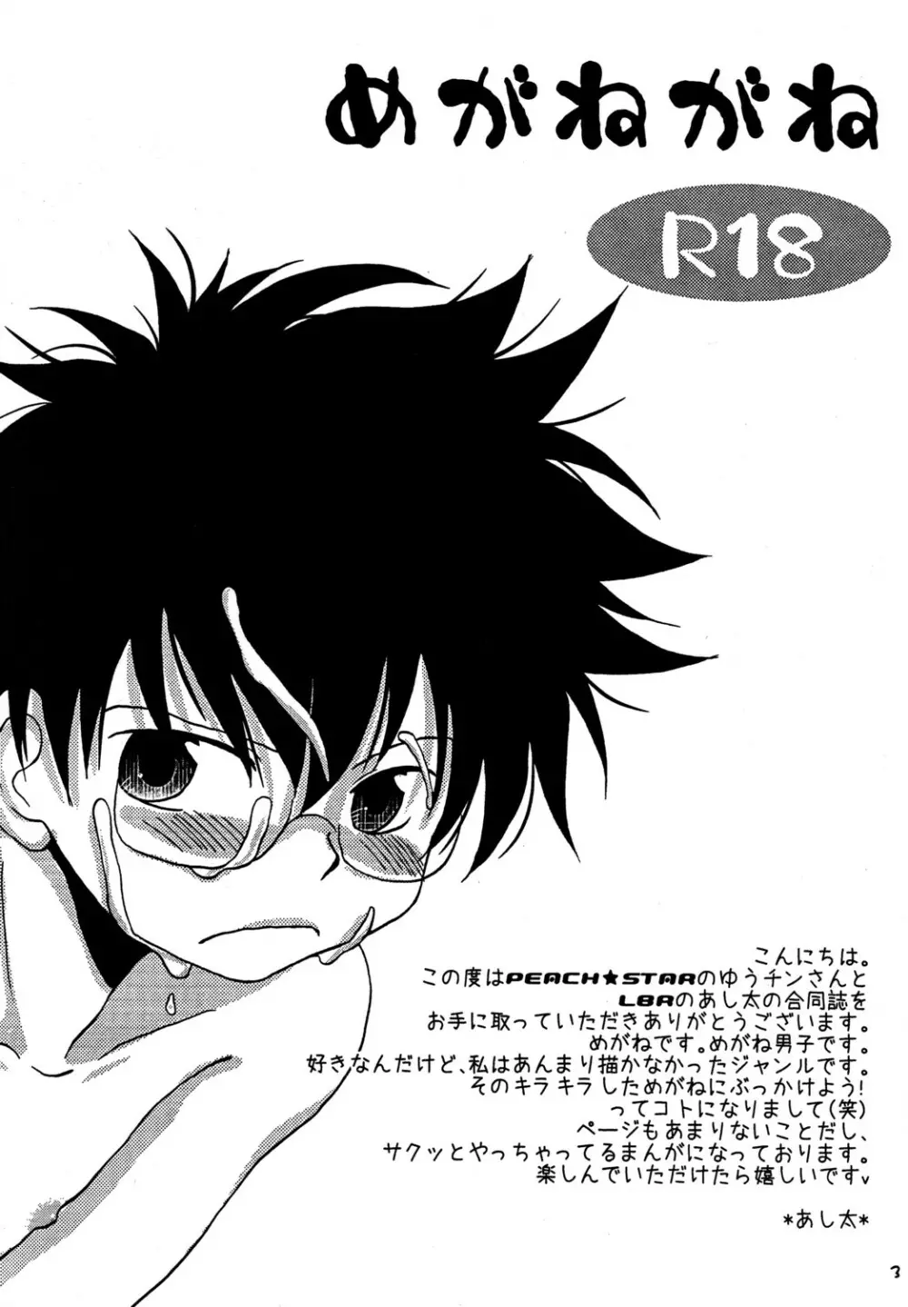 - Megane ga ne Page.3