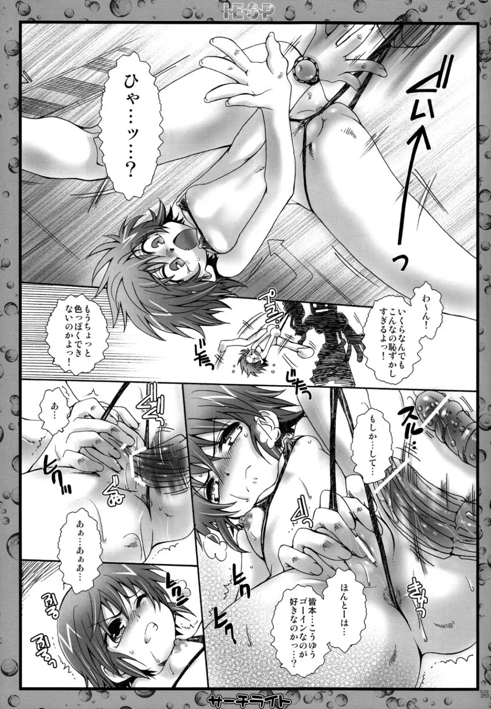 I・E・S・P Page.15