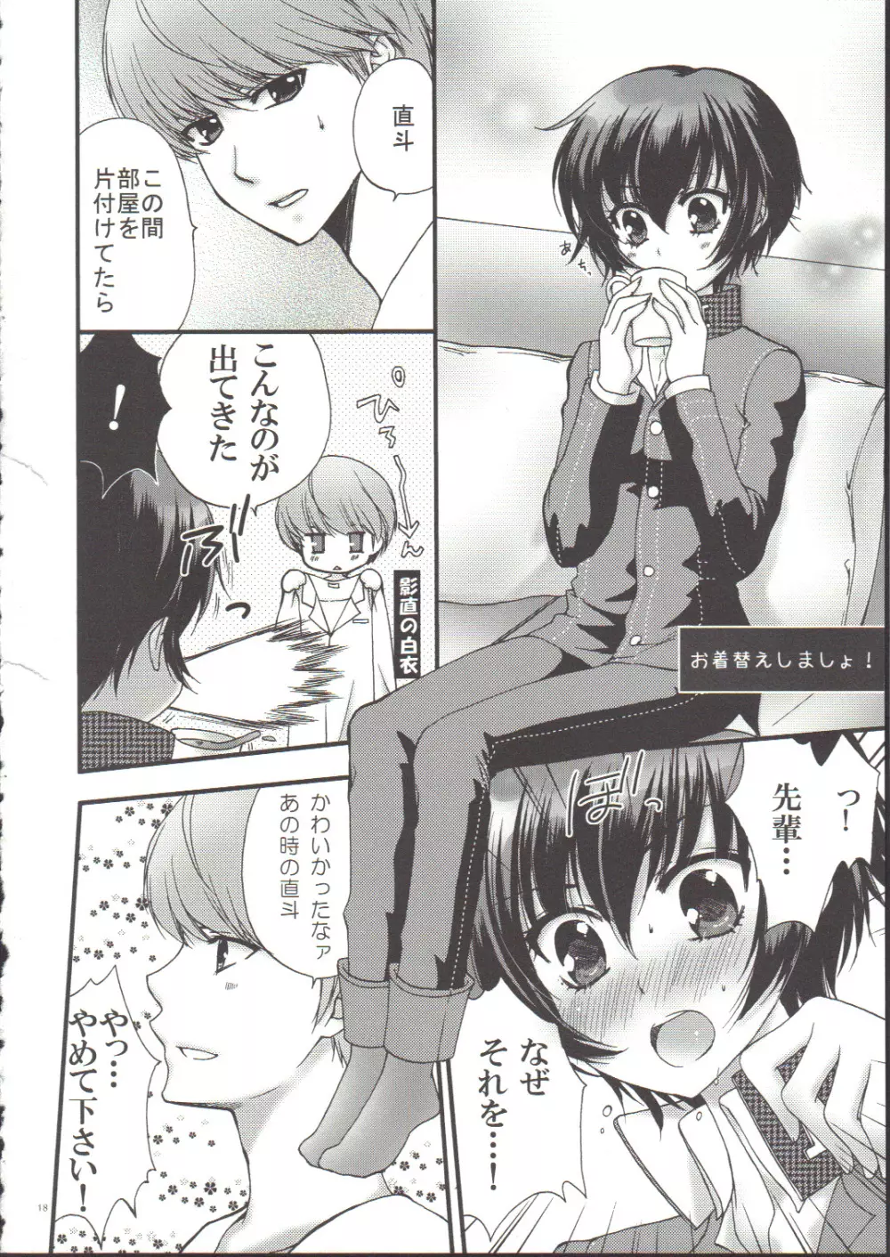 NAO-COS Page.17
