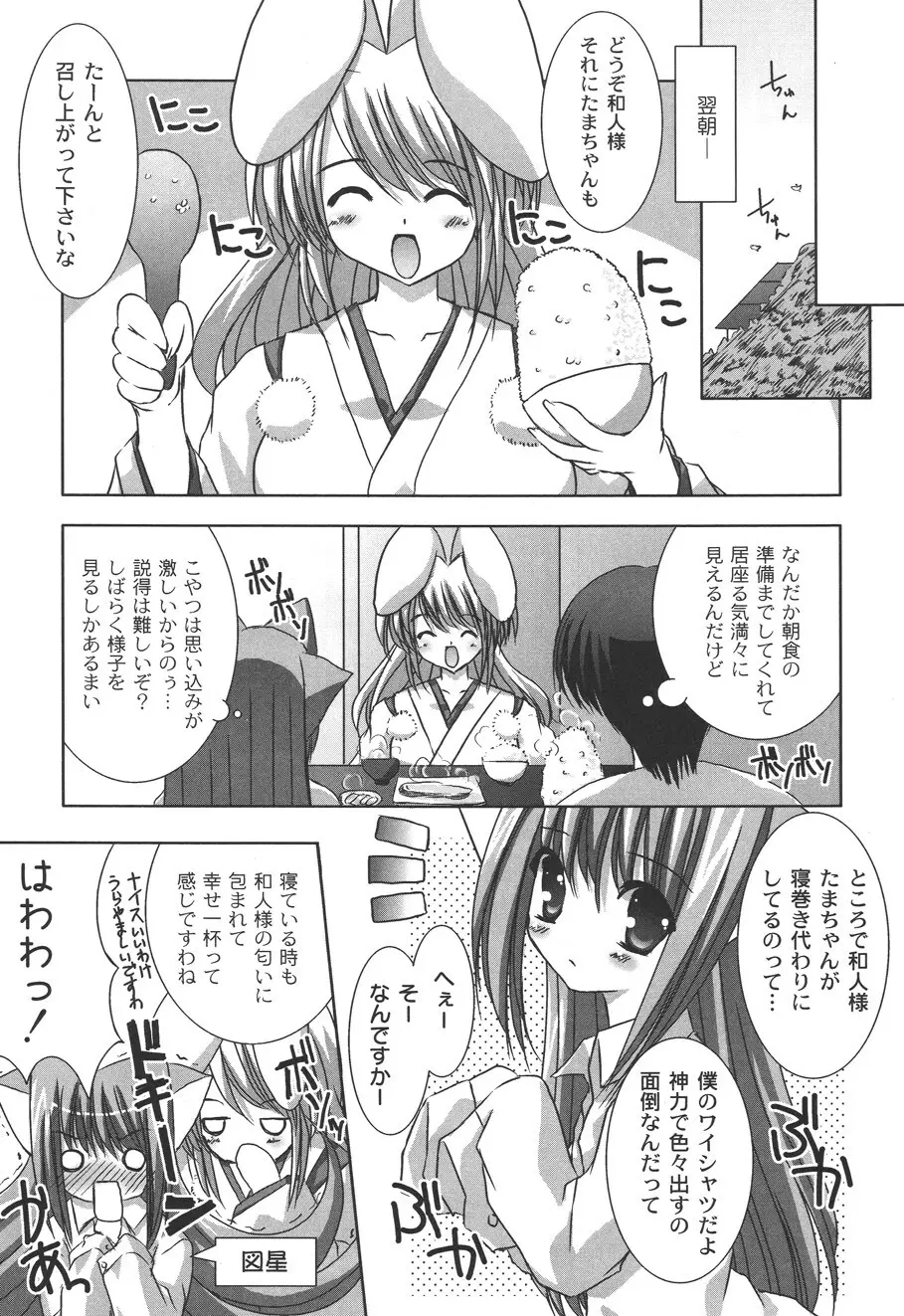 二丁目の猫神さま Page.53