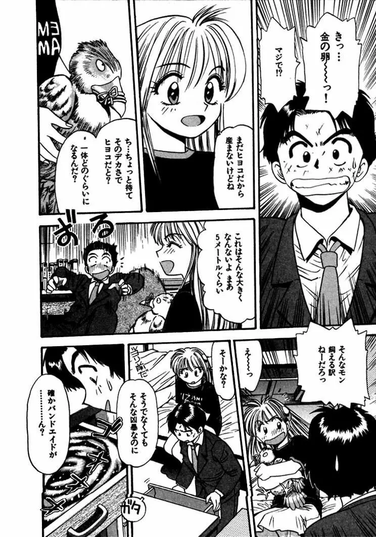 FLYING TEAPOT フライングティーポット Page.29