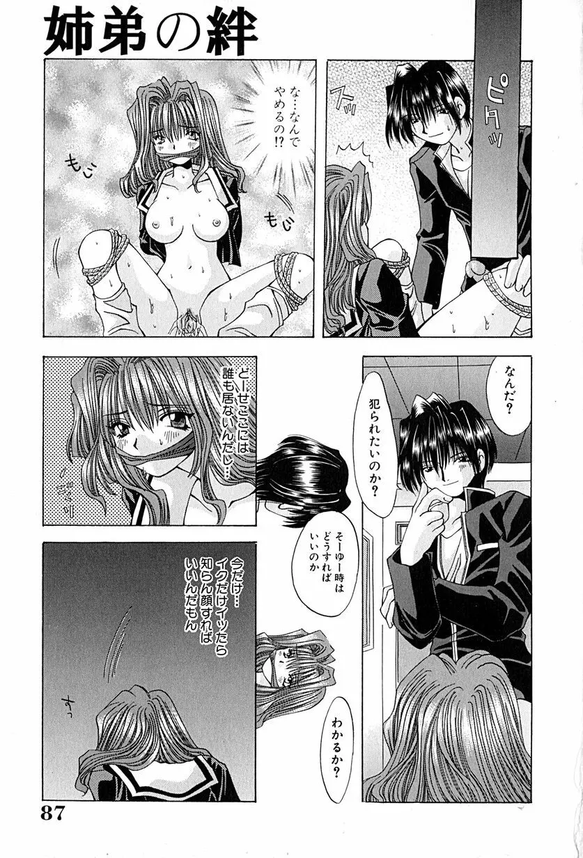 姉弟の絆 Page.90