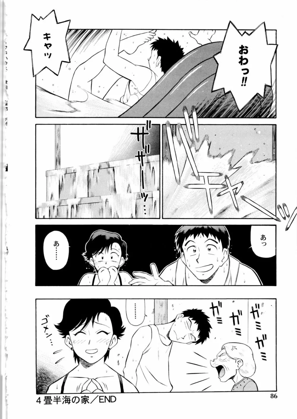 世田谷桃源郷 Page.87