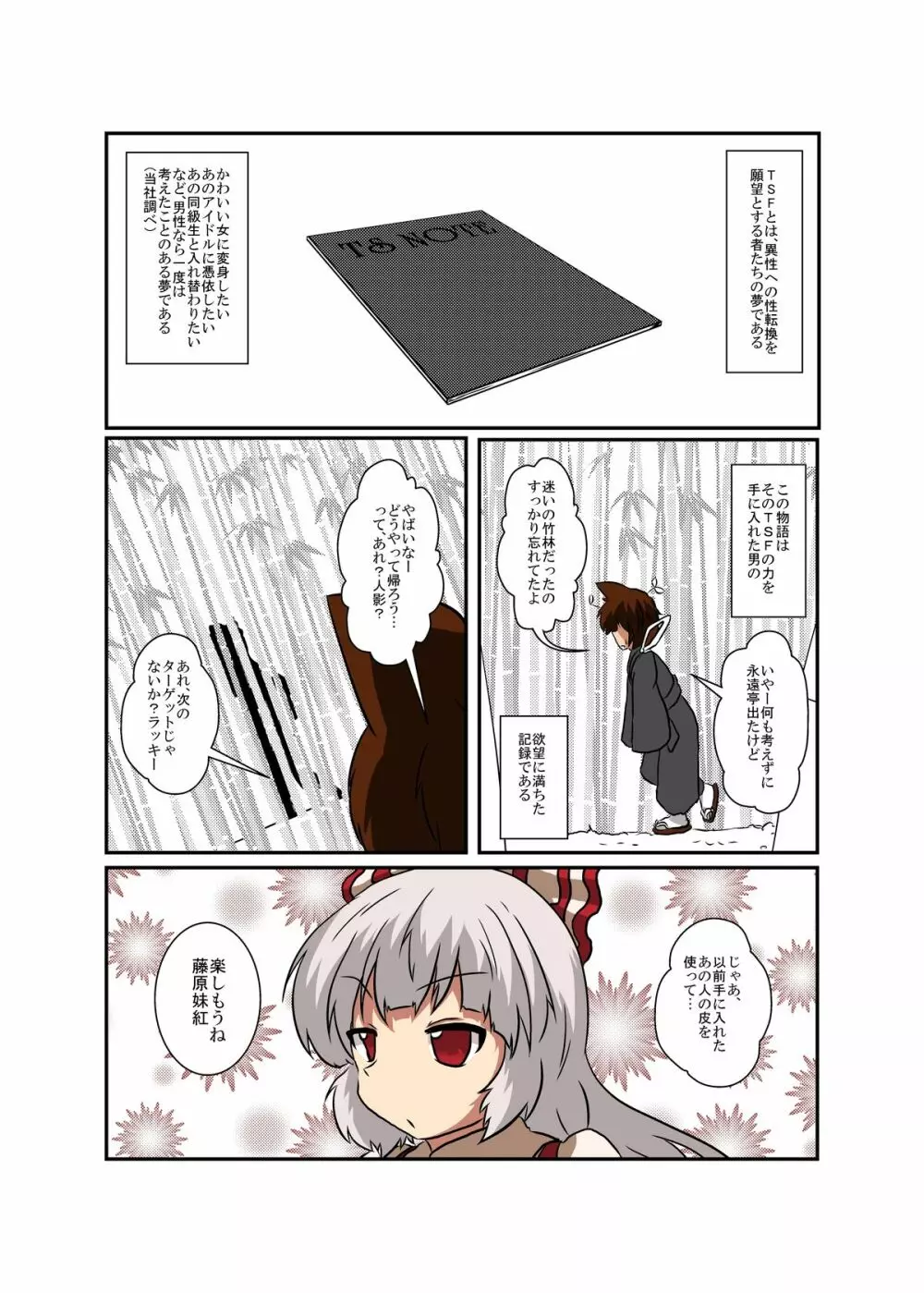 東方ＴＳ物語～妹紅編～ Page.4