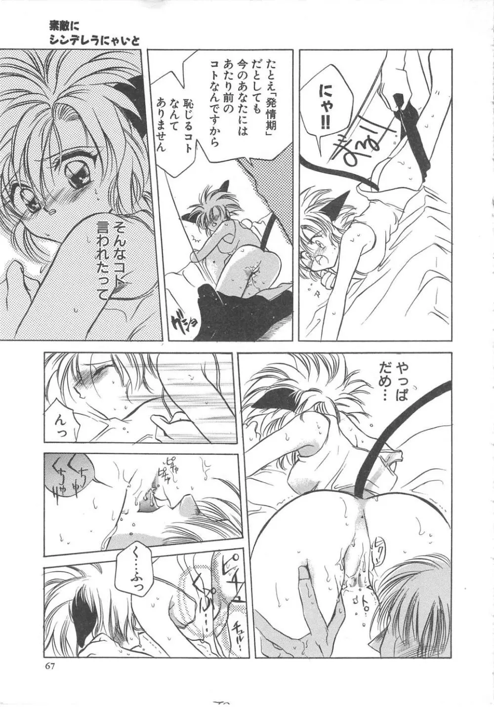 ウォーターフルーツ Page.67