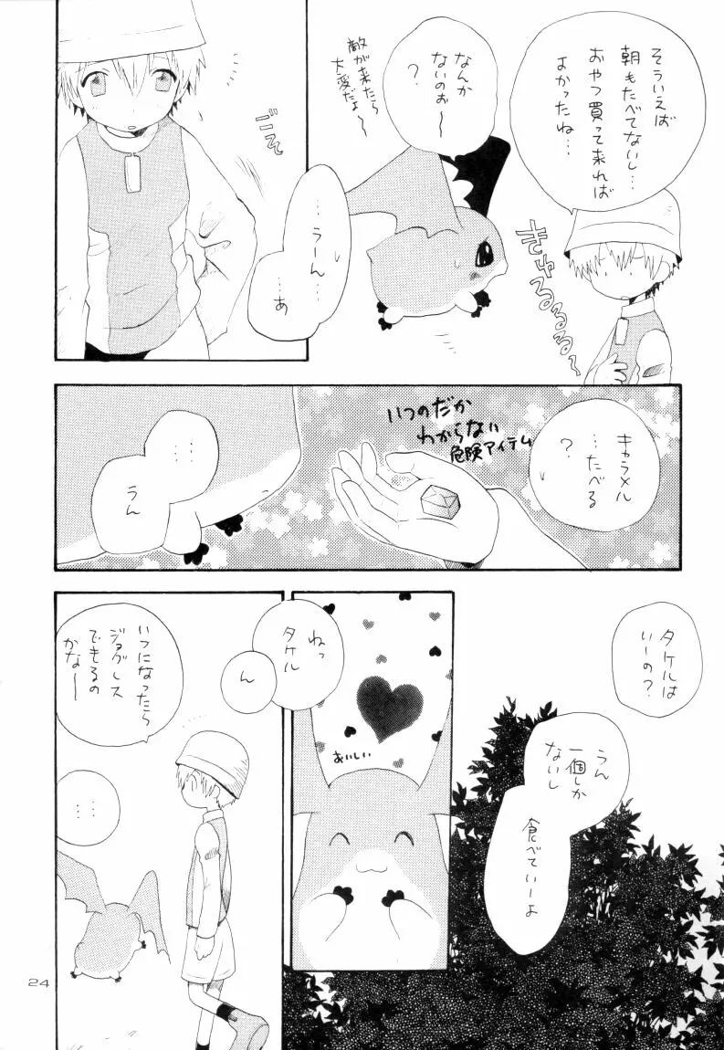 ゼンダ城の虜 Page.25