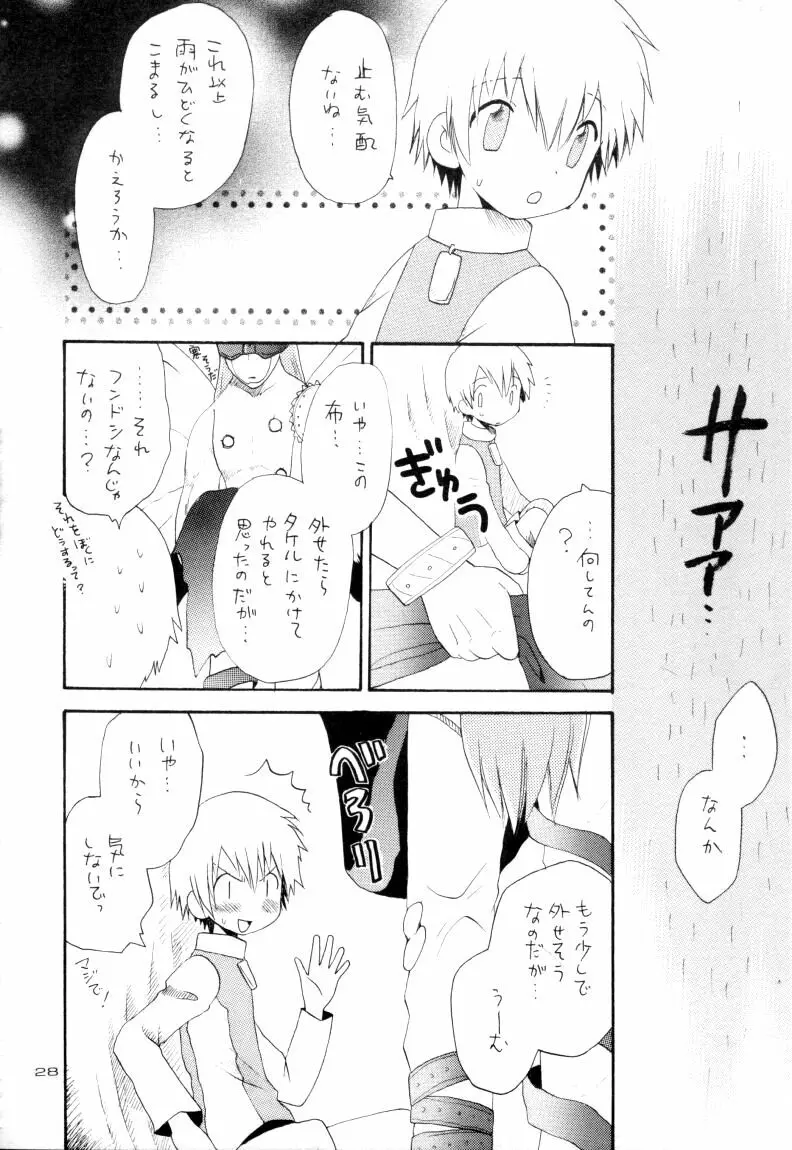 ゼンダ城の虜 Page.29