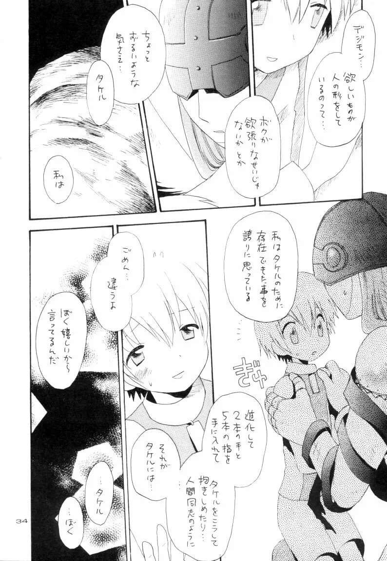 ゼンダ城の虜 Page.35