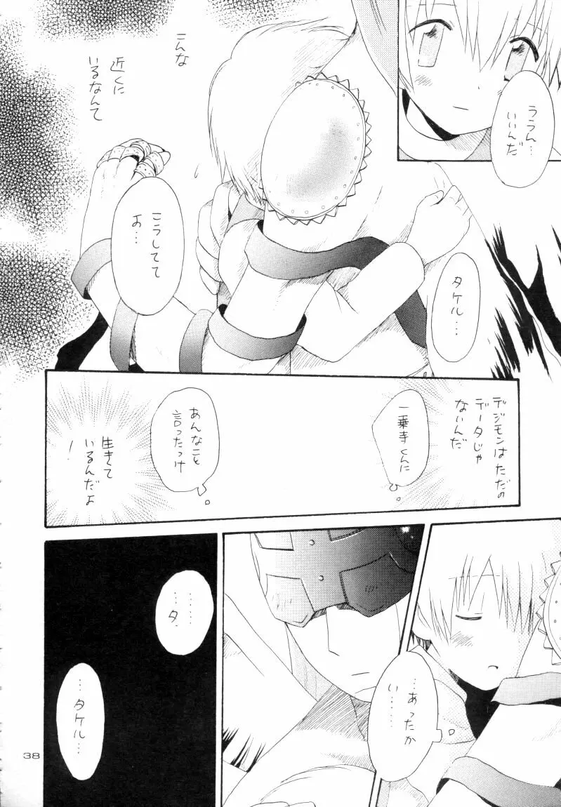 ゼンダ城の虜 Page.39