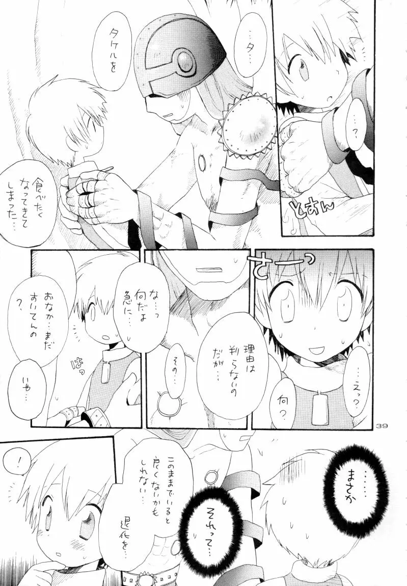 ゼンダ城の虜 Page.40