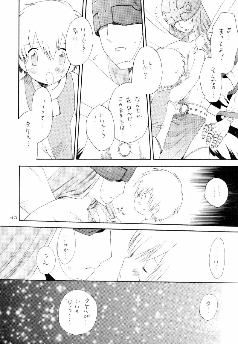 ゼンダ城の虜 Page.41