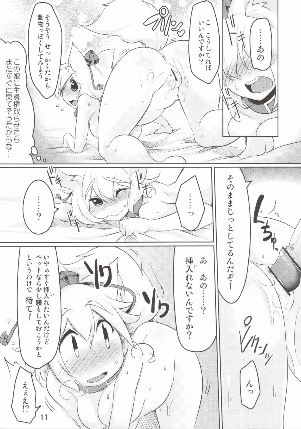 レンタルペット椛 Page.11