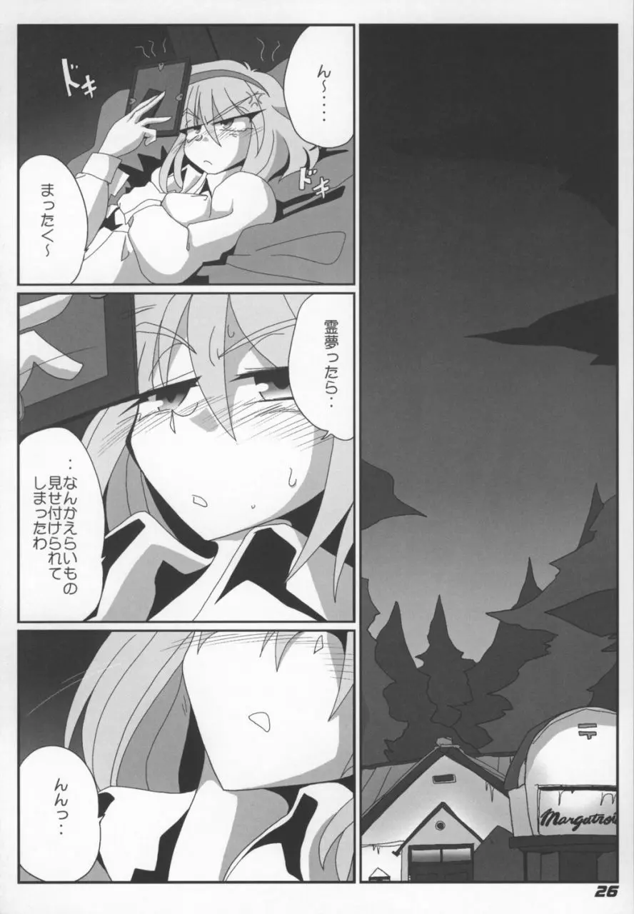 TOHO N+ Light Page.28