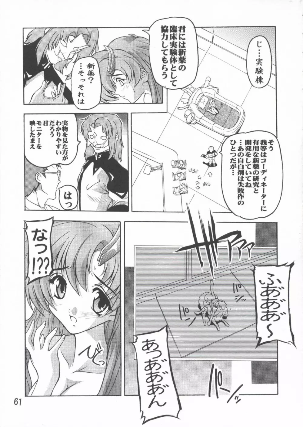 ラクス総集編ですてに～ Page.61