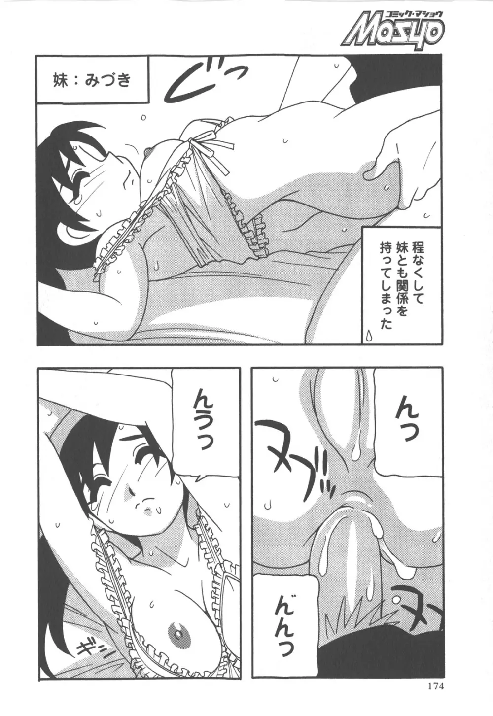 コミック・マショウ 2007年12月号 Page.175