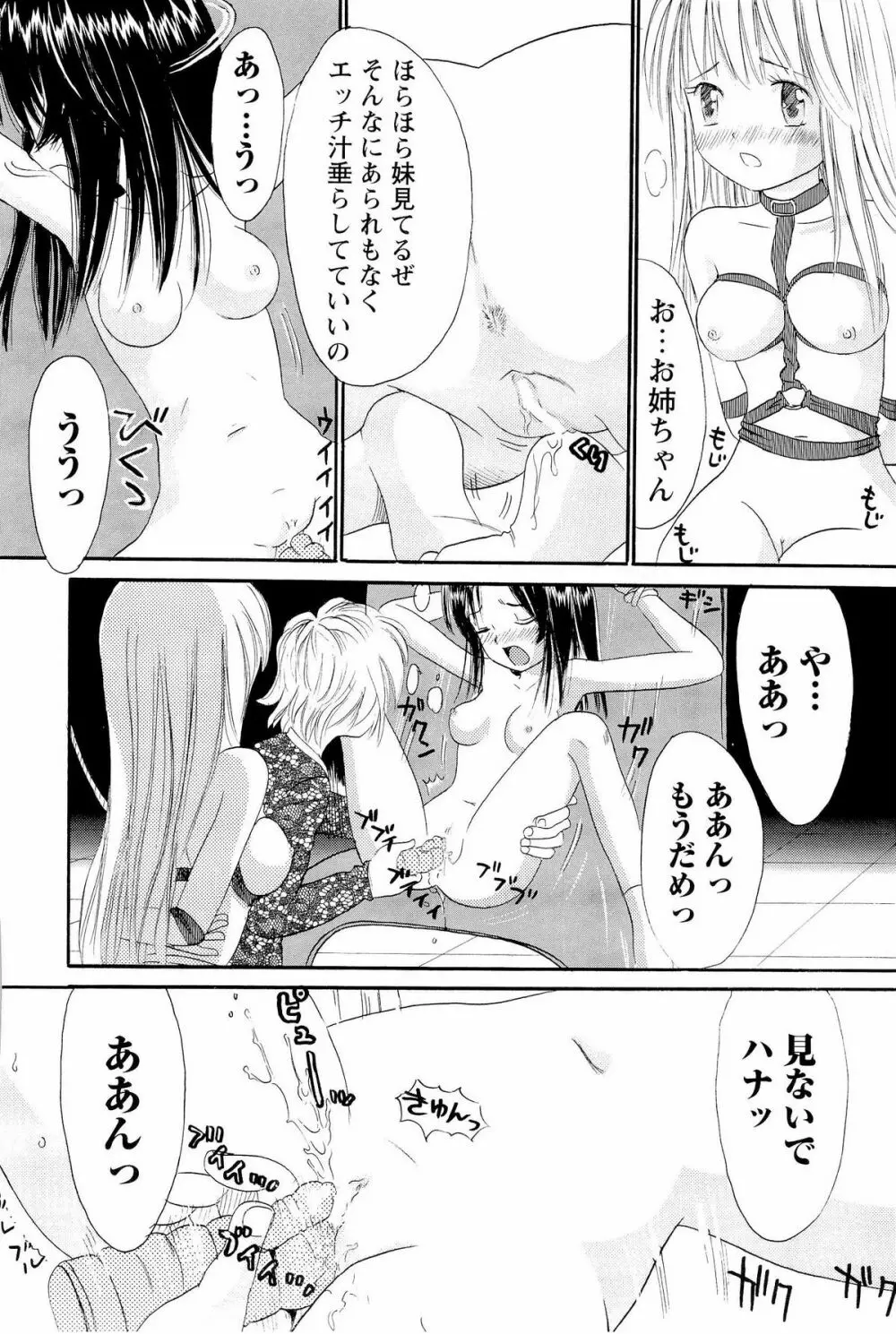 あねいもぉと Page.45