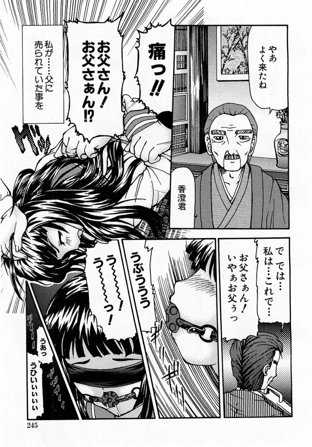 COMIC 萌絵姫 Vol.3 Page.245