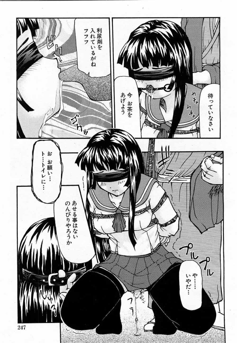 COMIC 萌絵姫 Vol.3 Page.247