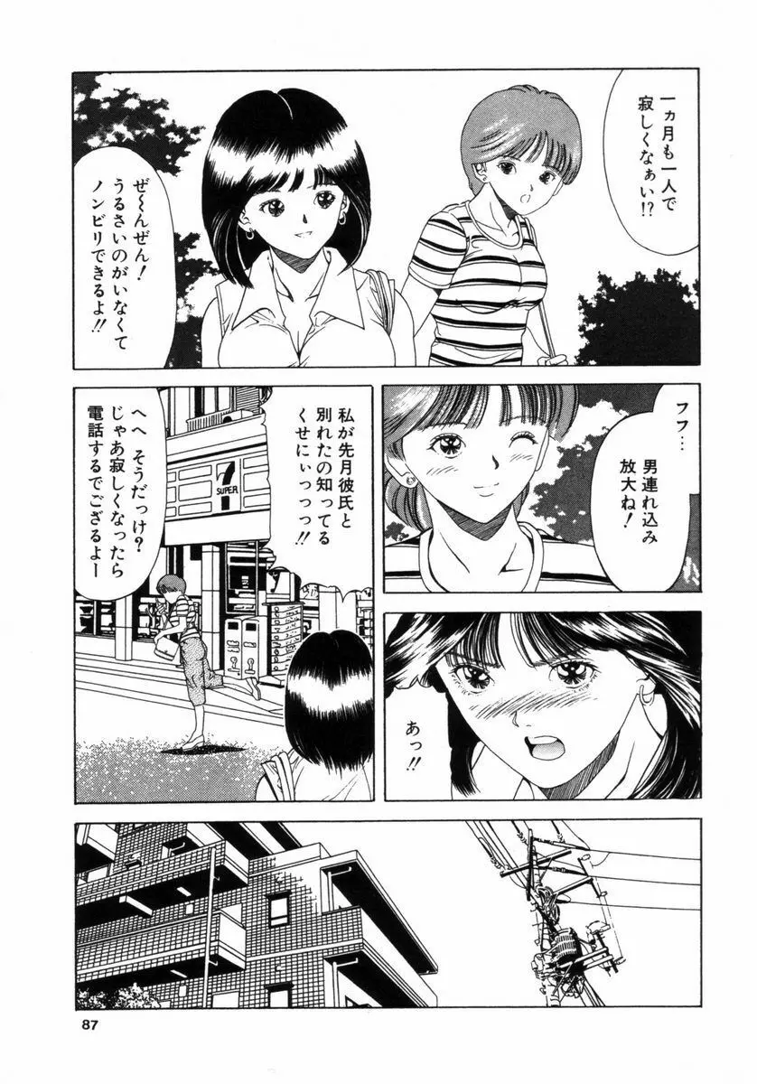 調教の館 SLAVE ROOM Vol.3 Page.86