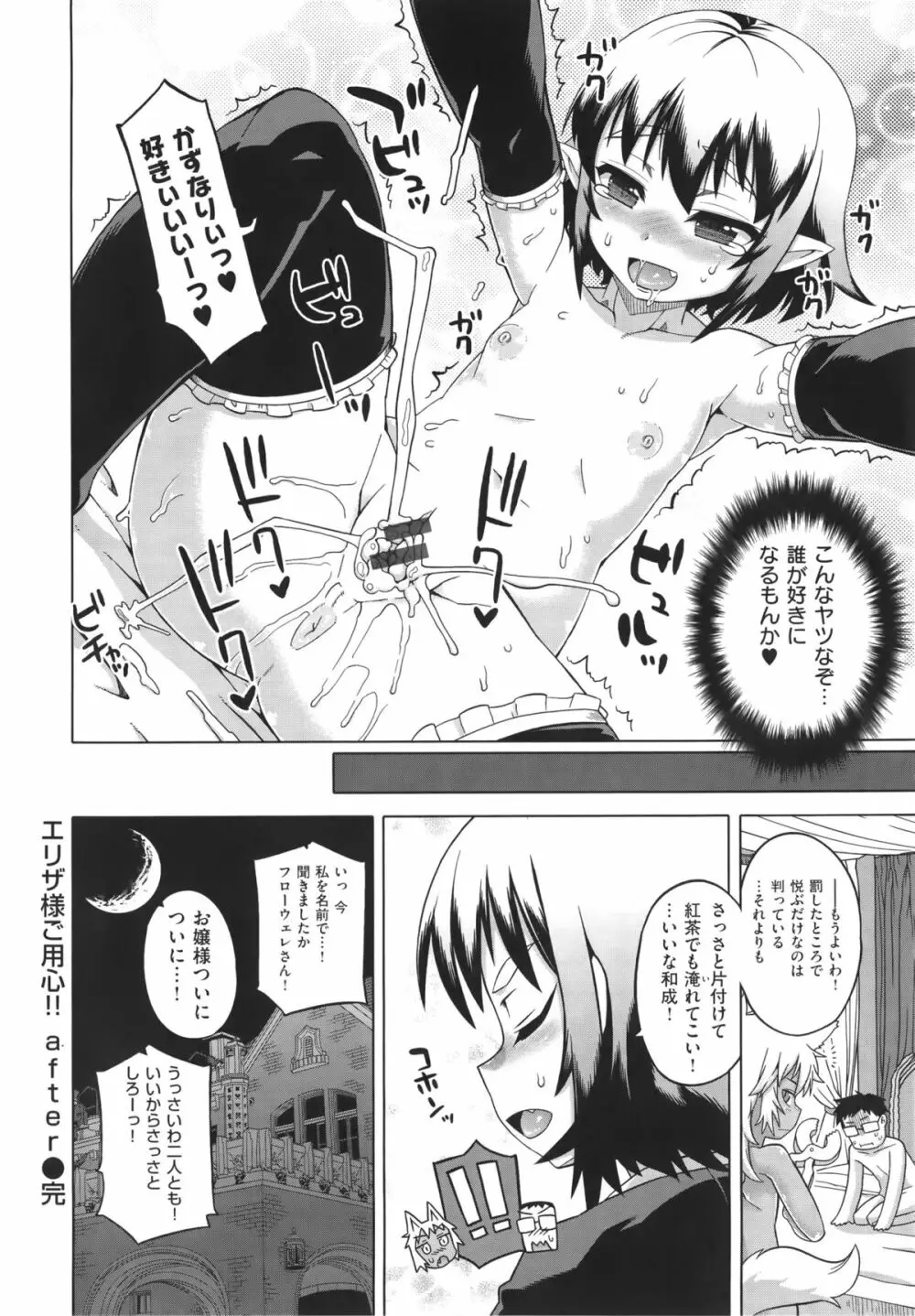 エリザ様ご用心! + 4Pリーフレット Page.145