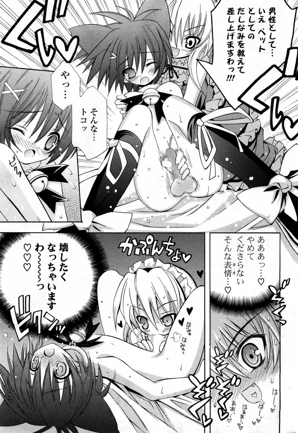 COMIC ポプリクラブ 2008年03月号 Page.246