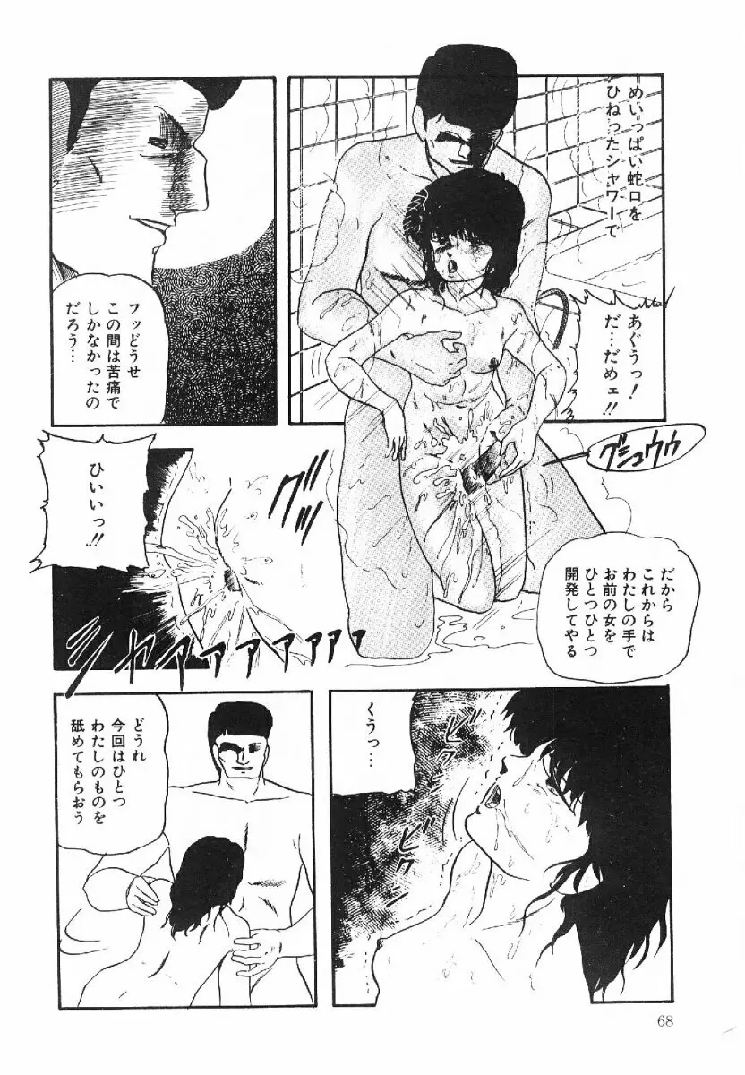 コットンハウスの夢物語 Page.69