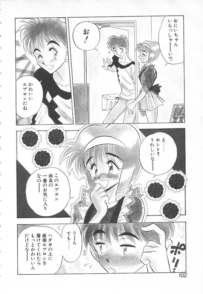 すぅいーと・プリンセス Page.100