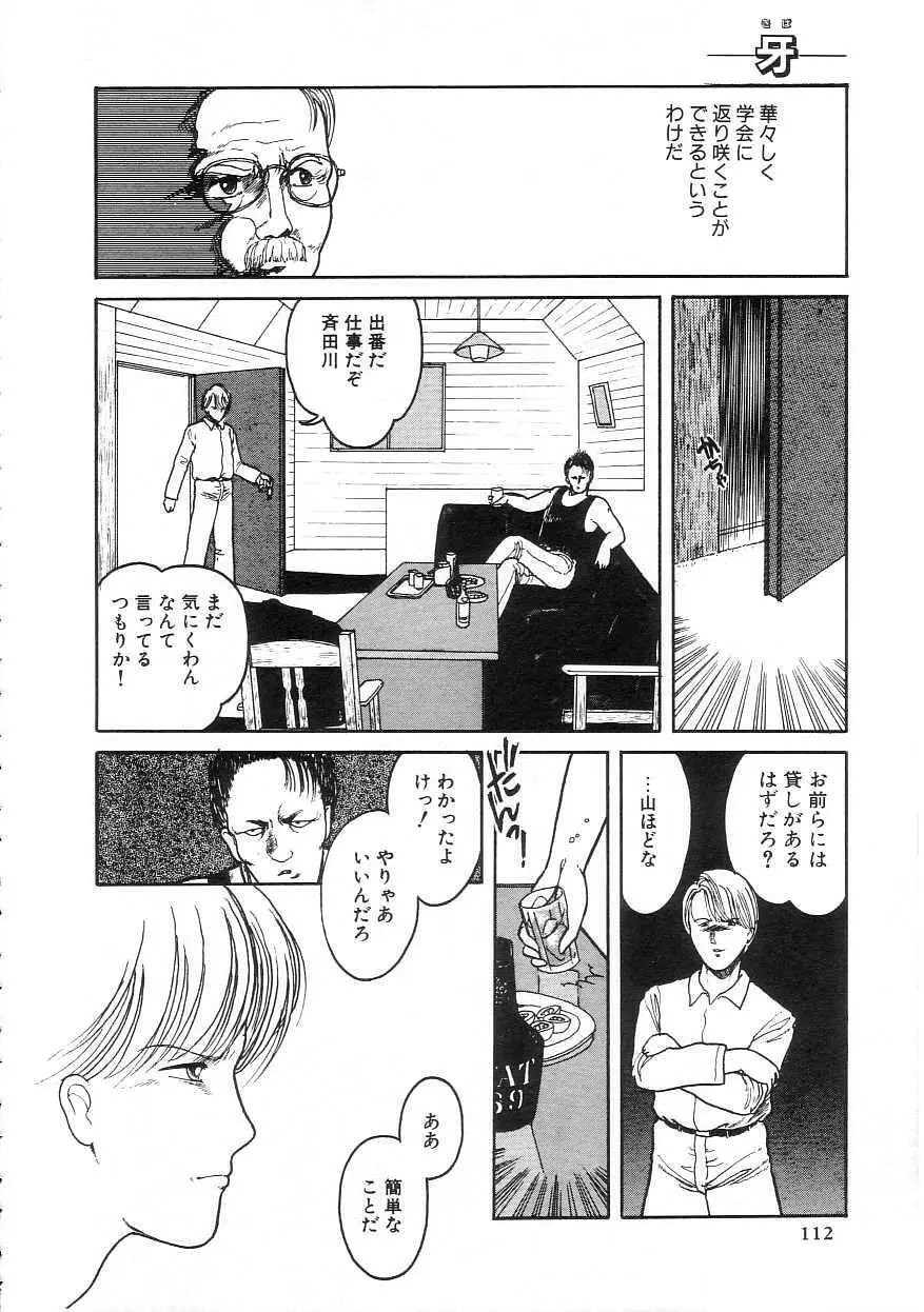 100%ピュアレディ Page.116