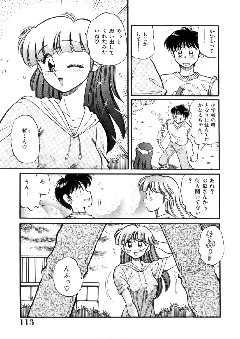 ときめき処女白書 Page.114