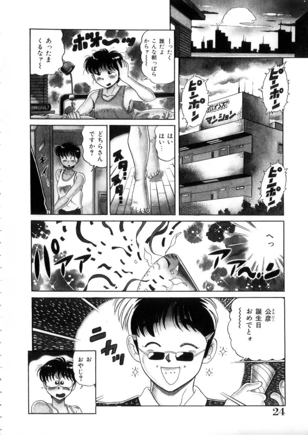 ときめき処女白書 Page.25