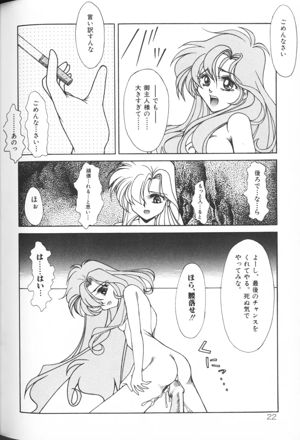 秘密の地下室 Vol.2 Page.22