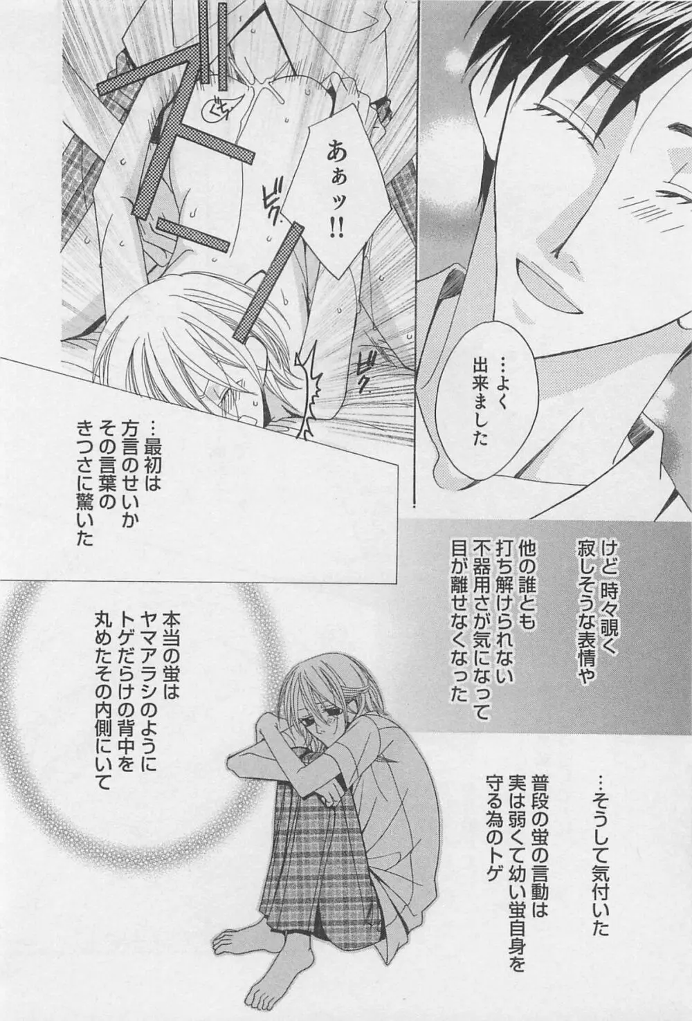 ヤマアラシの誘惑 Page.29