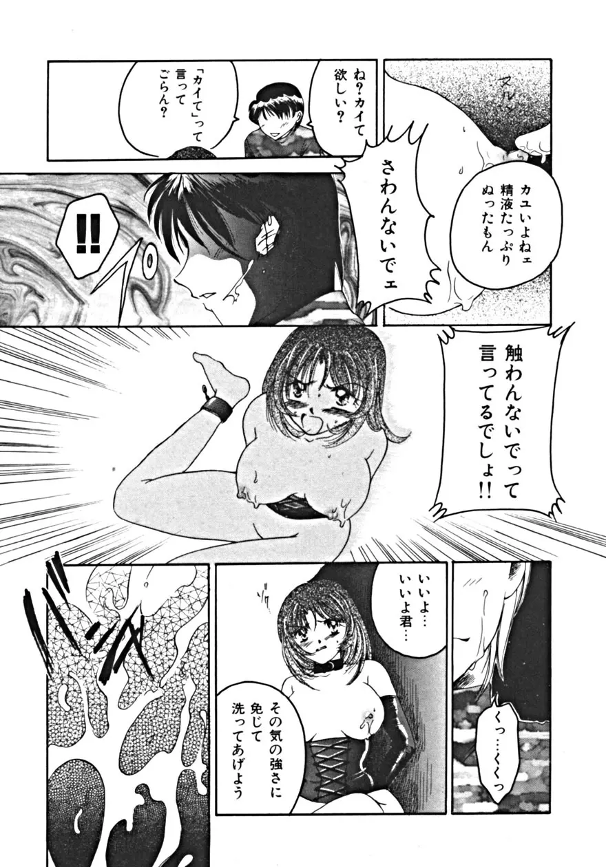 背徳の輪舞曲 Vol.1 Page.29