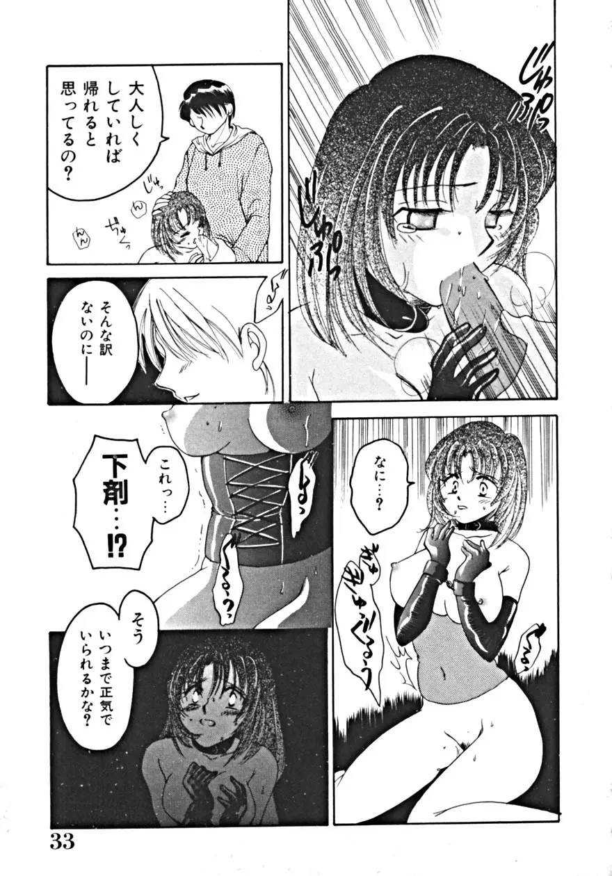 背徳の輪舞曲 Vol.1 Page.37