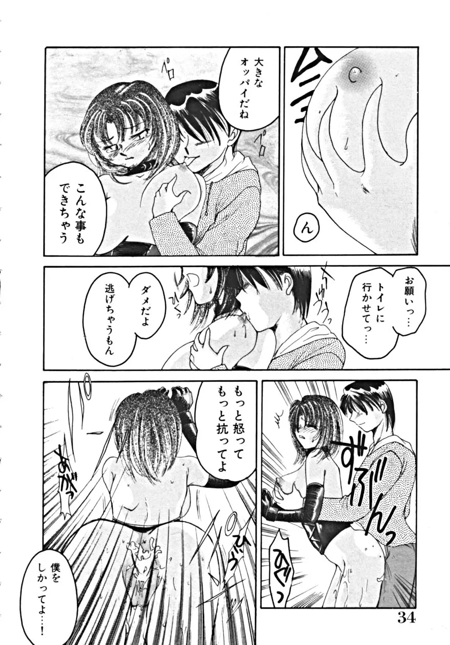 背徳の輪舞曲 Vol.1 Page.38