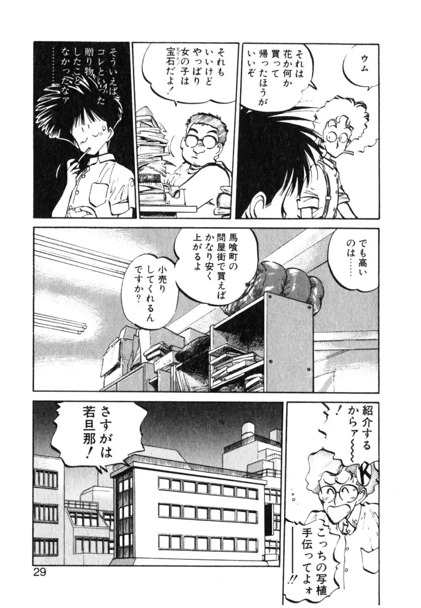 ひろみちゃん奮戦記 ４ 愛蔵版 Page.29