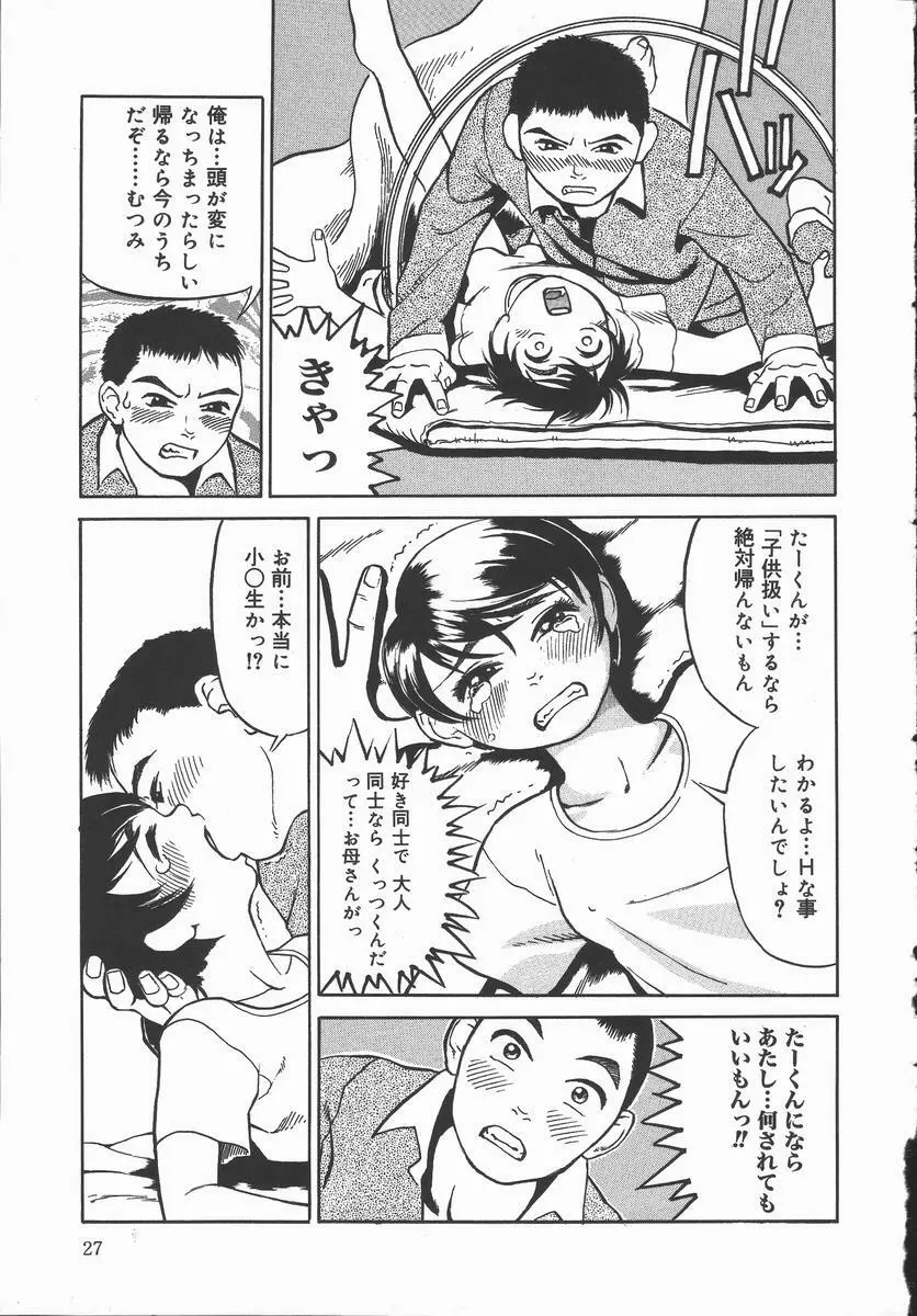 艶は匂えど Page.29