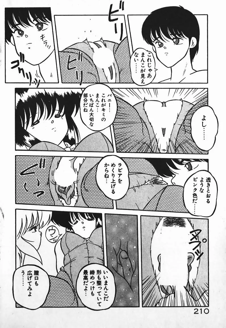 ラブラブ戦線異状あり！ Page.210