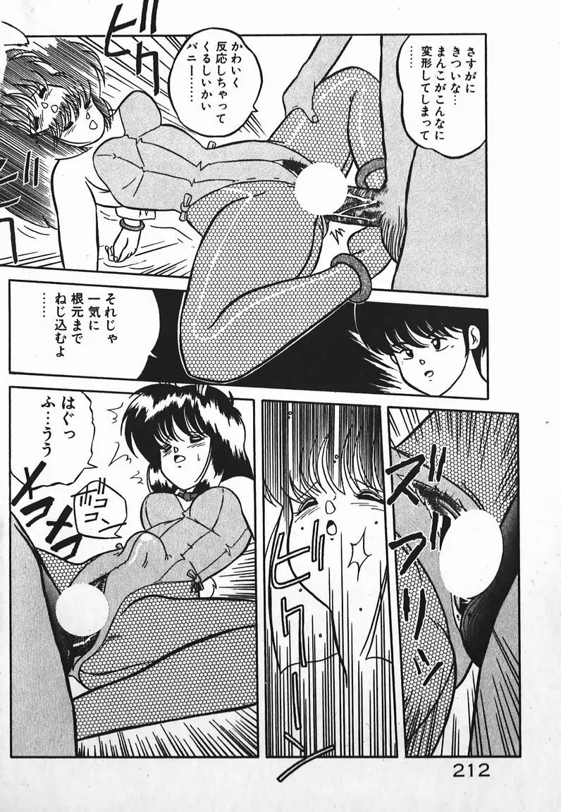 ラブラブ戦線異状あり！ Page.212