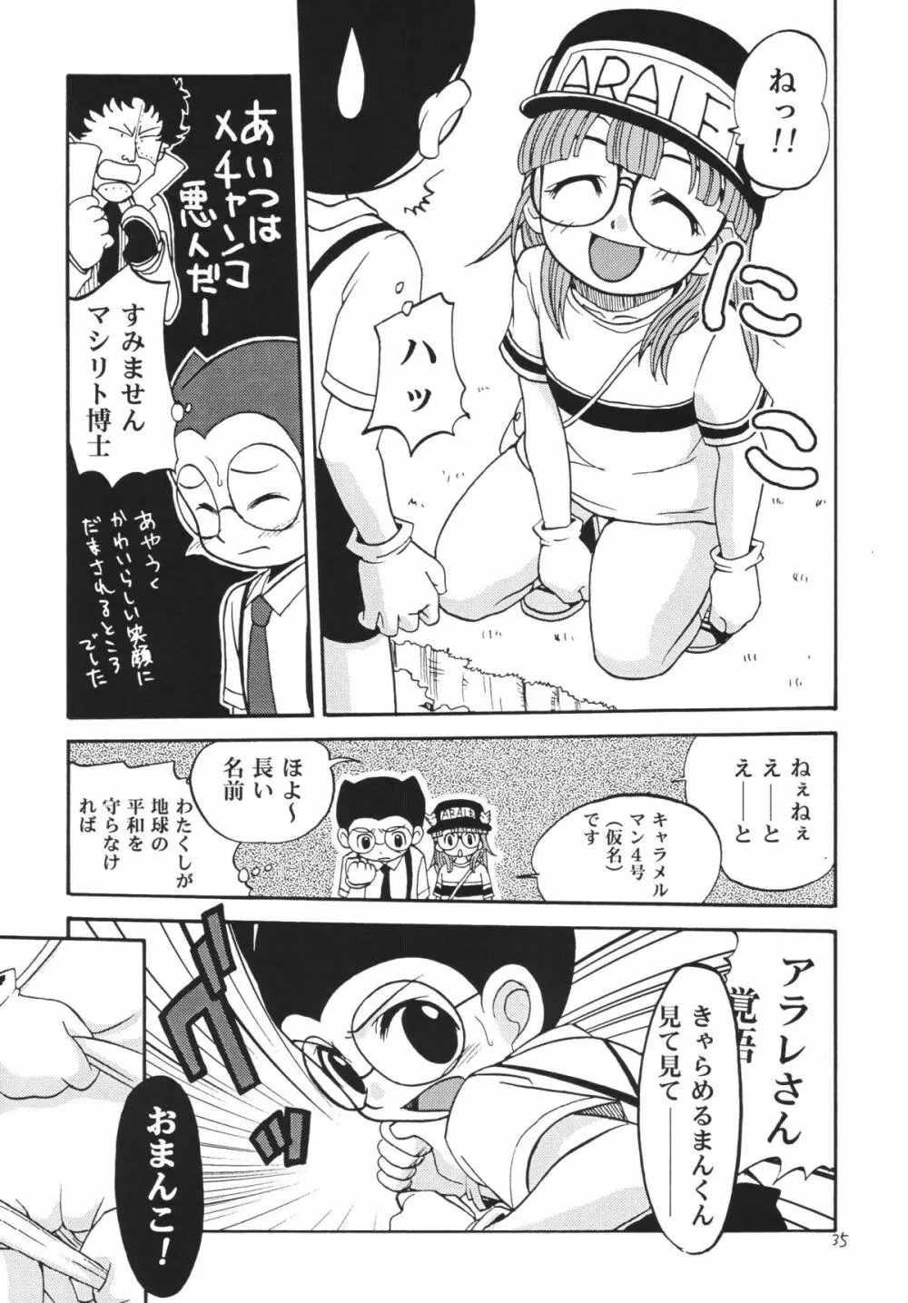PROJECT ARALE Page.34