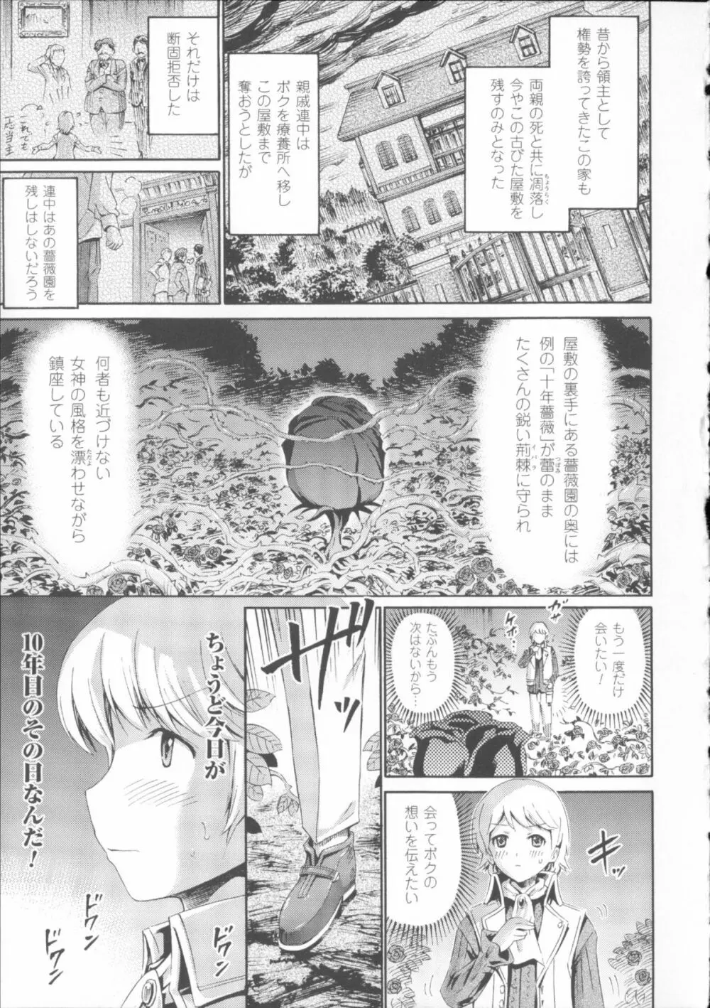 ヴィーナスガーデン～非現実乙女と出会える街～ + 4Pリーフレット Page.39