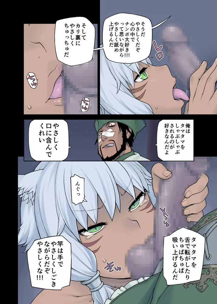 猫大好きXIV Page.14