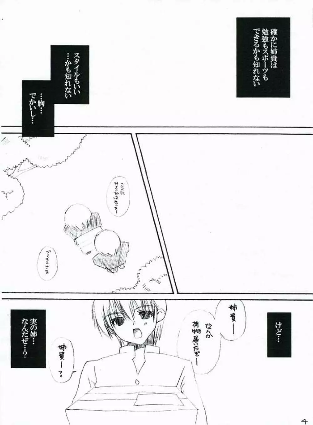 たまねえのほん。 Page.3